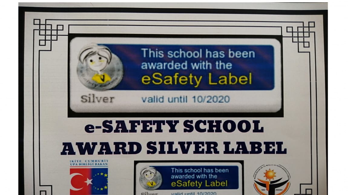  Avrupa Okul Ağında Uluslararası geçerliliği olan Gümüş ödül aldık